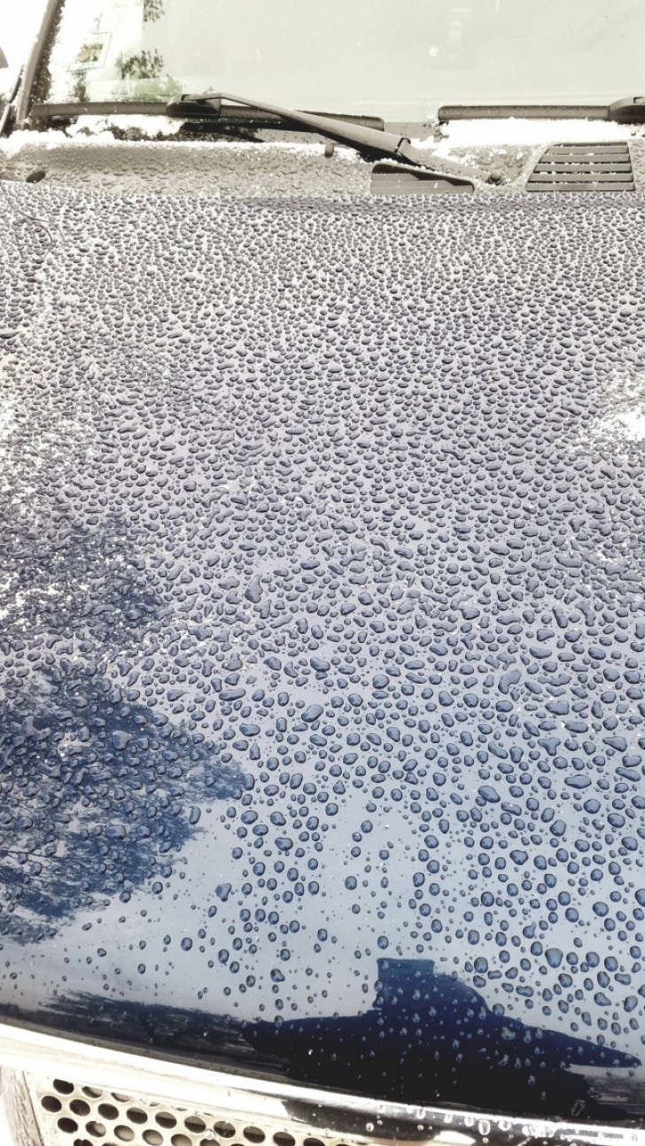 Gocce d'acqua incredibilmente ordinate sul cofano di un'auto.