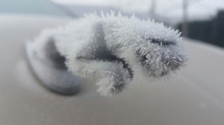 Das Emblem des Autos ist der Kälte ausgesetzt.