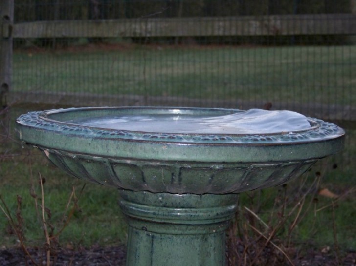 Even this flowing water fountain has frozen.