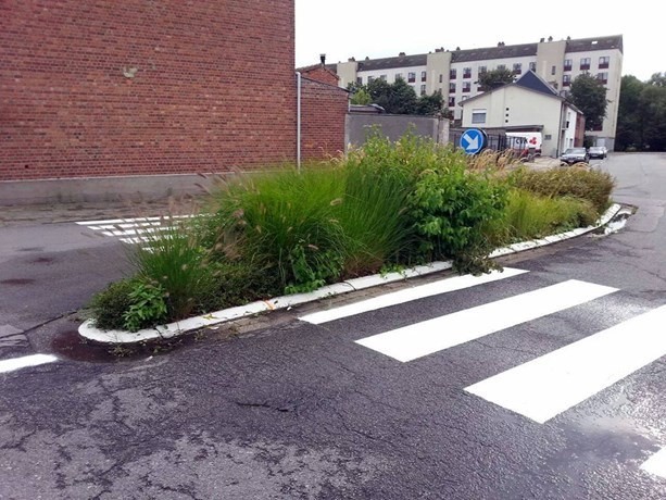 28. Não basta atravessar a rua, tem que atravessar o bosque também.