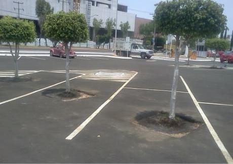33. This car parking lot always has available parking spaces --- who knows why!