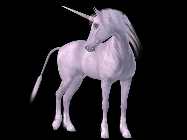 The national animal of Scotland is the unicorn.