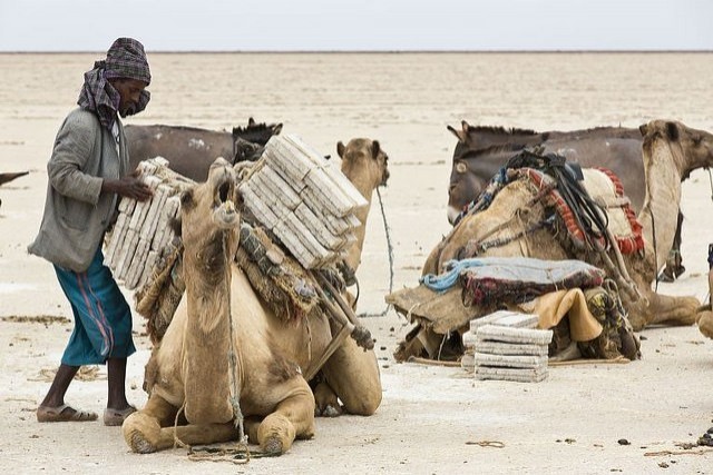 10. Zoutwerker in Ethiopië