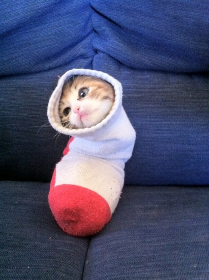 "Very comfortable, this sock."