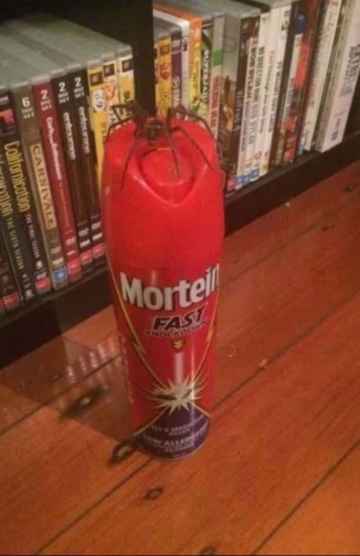 7. Now try to use this spray ... to kill this enormous spider!