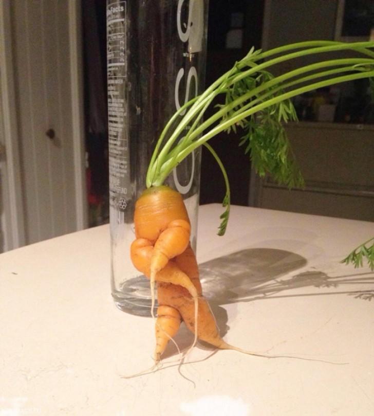 Eine Karotte übt ihre Kampfkünste, um sich gegen den Koch zu wehren