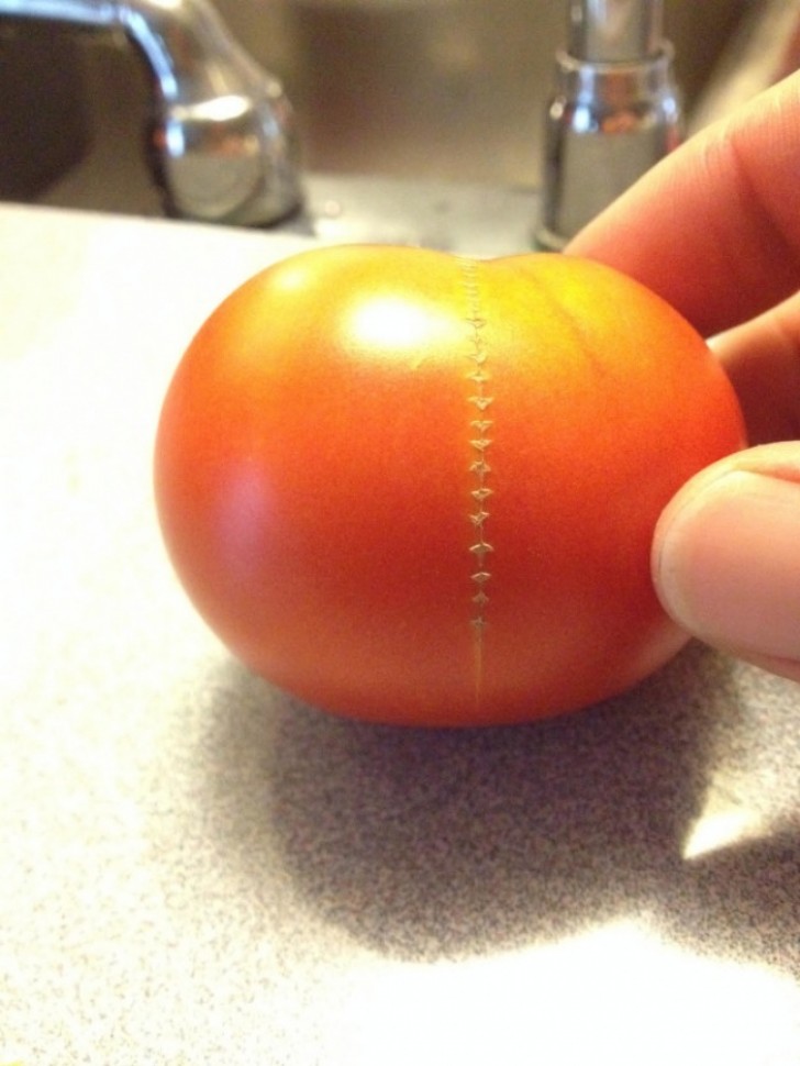Habt ihr schonmal Tomaten mit Reißverschluss gesehen? Sicher sind sie einfacher zu schälen...
