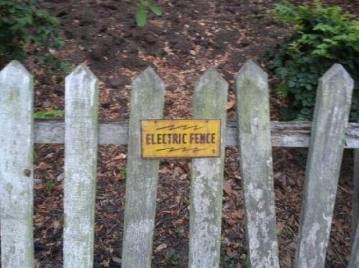 "Electrified fence" --- Yeah, right! ...