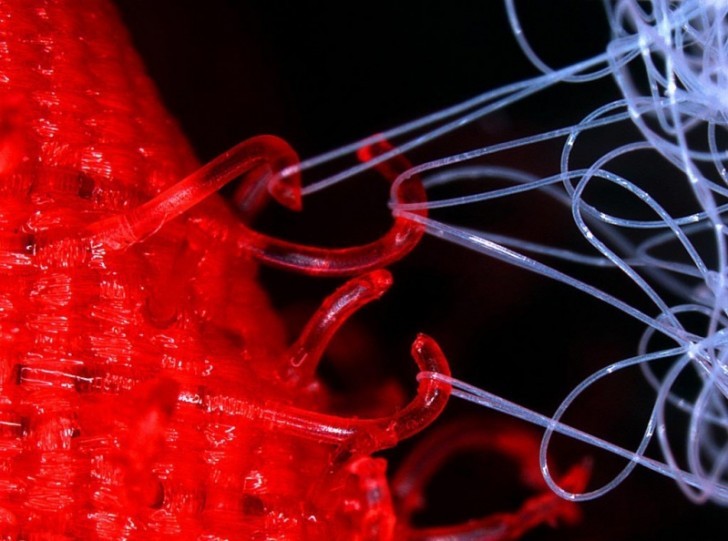 Two velcro straps in action as seen under a microscope.
