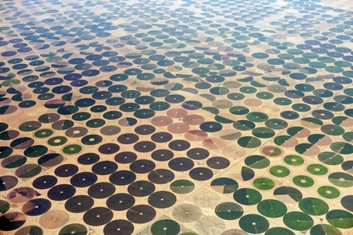 Circular agricultural fields in Saudi Arabia.