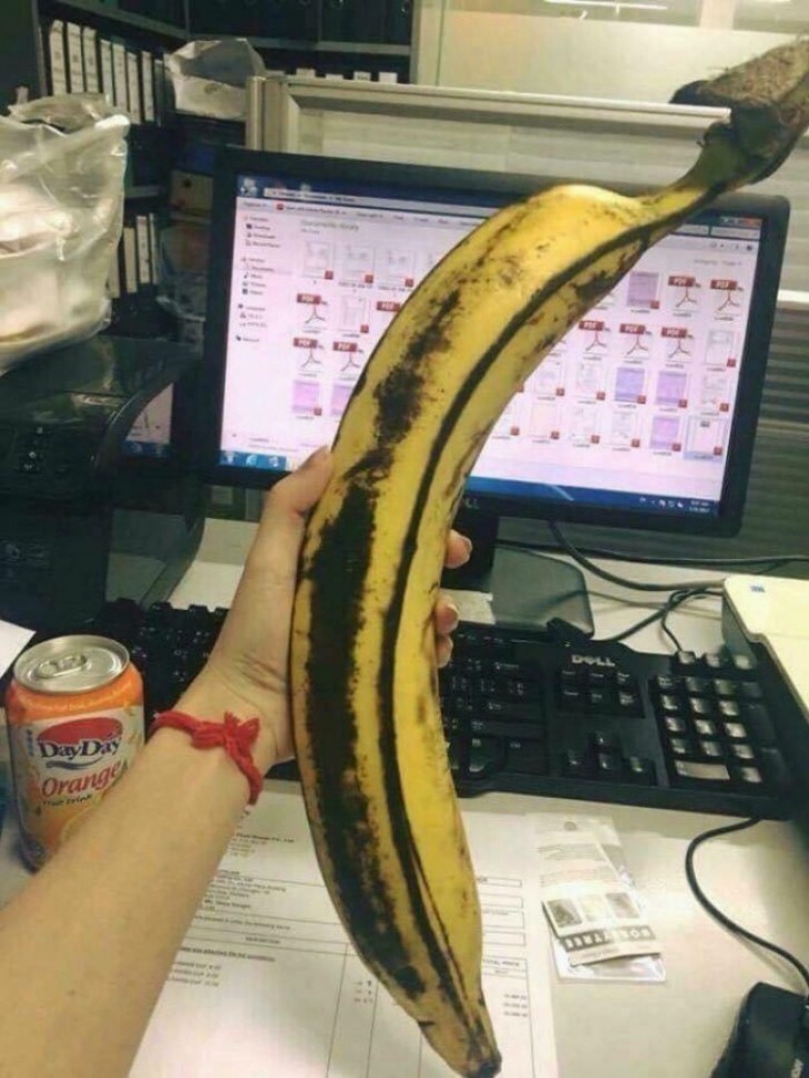 13. Quand vous réalisé que vous avez acheté la plus grande banane du monde......