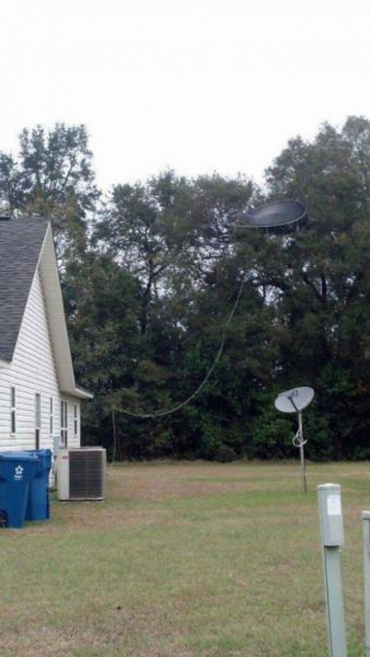 10. Is that a UFO or a trampoline in the trees?