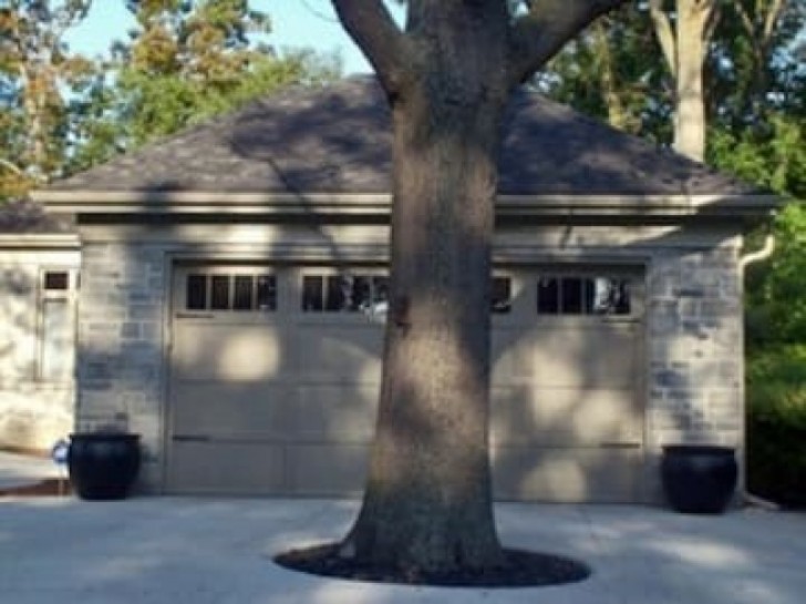 Non è l'albero ad essere cresciuto nel posto sbagliato, è il garage che doveva essere pensato meglio!