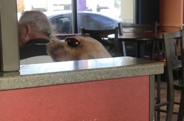 14. A woman who is eating ... or a seal wearing sunglasses?