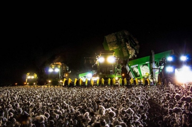 24. A crowded concert? No, only machines to harvest cotton ...