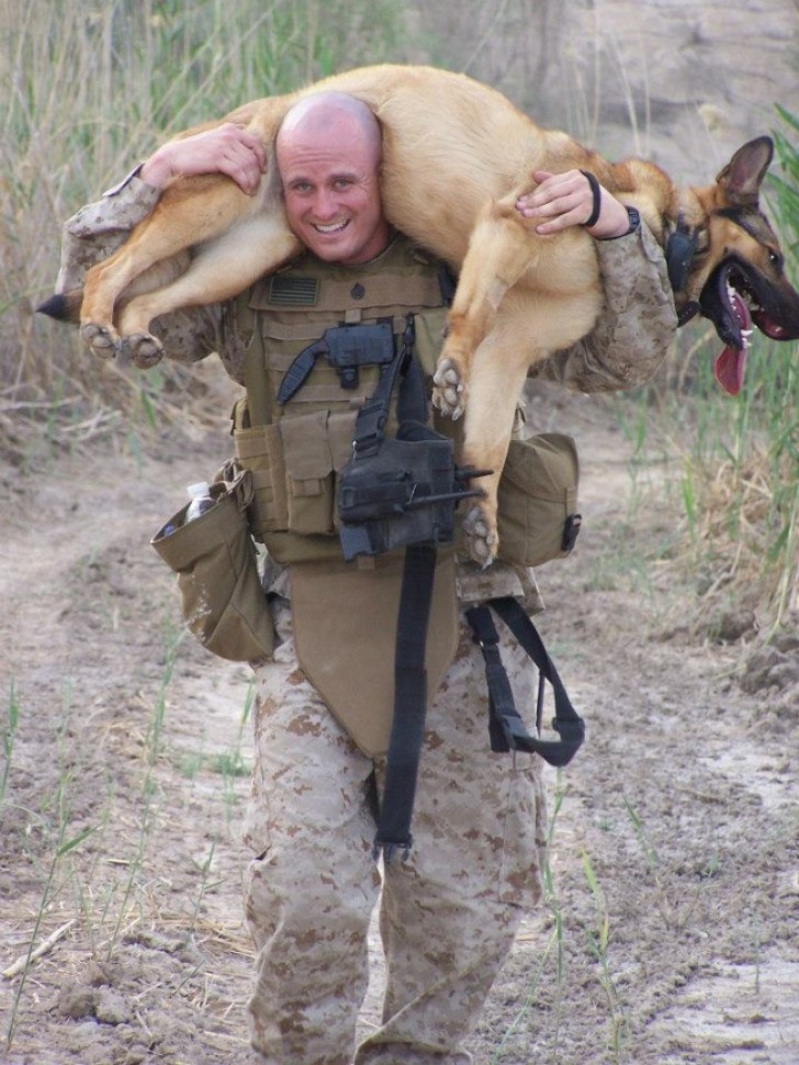 Questo soldato trasporta il suo fedele amico perché si stancato troppo durante l'allenamento.