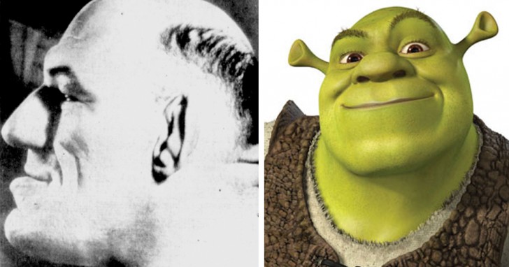 DreamWorks n'a jamais confirmé aucun lien entre Shrek, le bon géant, et Maurice Tillet, le catcheur au cœur d'or.