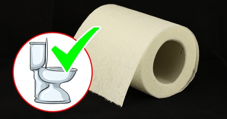 Ins WC gehört nichts anderes als Toilettenpapier