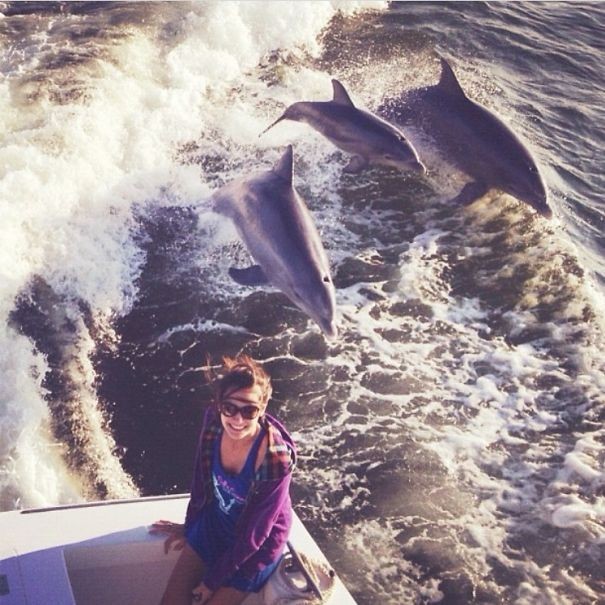 Solo con questa foto potrete dimostrare che tre delfini sono arrivati per rendere unica la vostra foto ricordo!