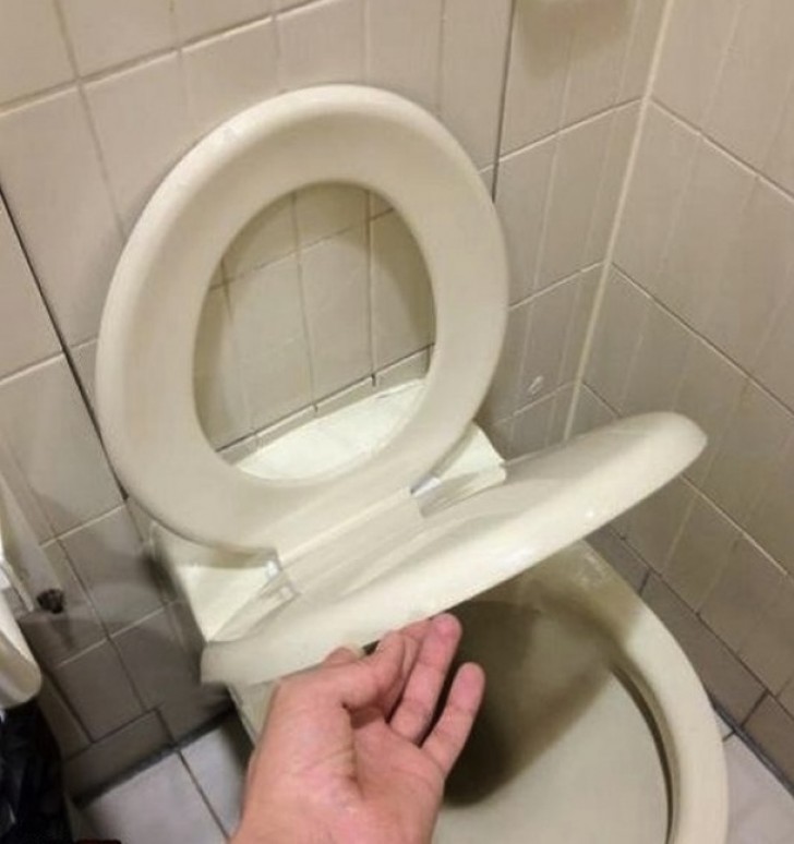 When the toilet seat does not go up or down ...