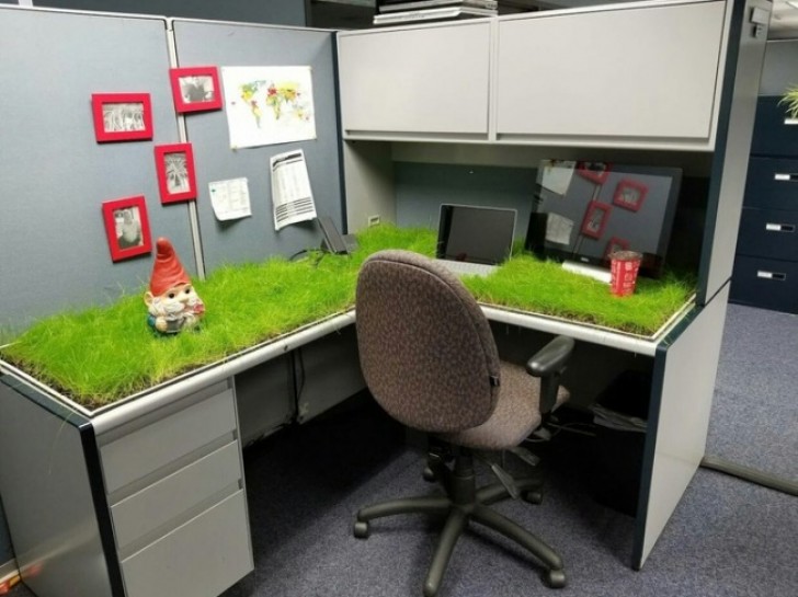 20 - "Een collega is met zwangerschapsverlof en we hebben besloten een grasveld op haar bureau te laten groeien".