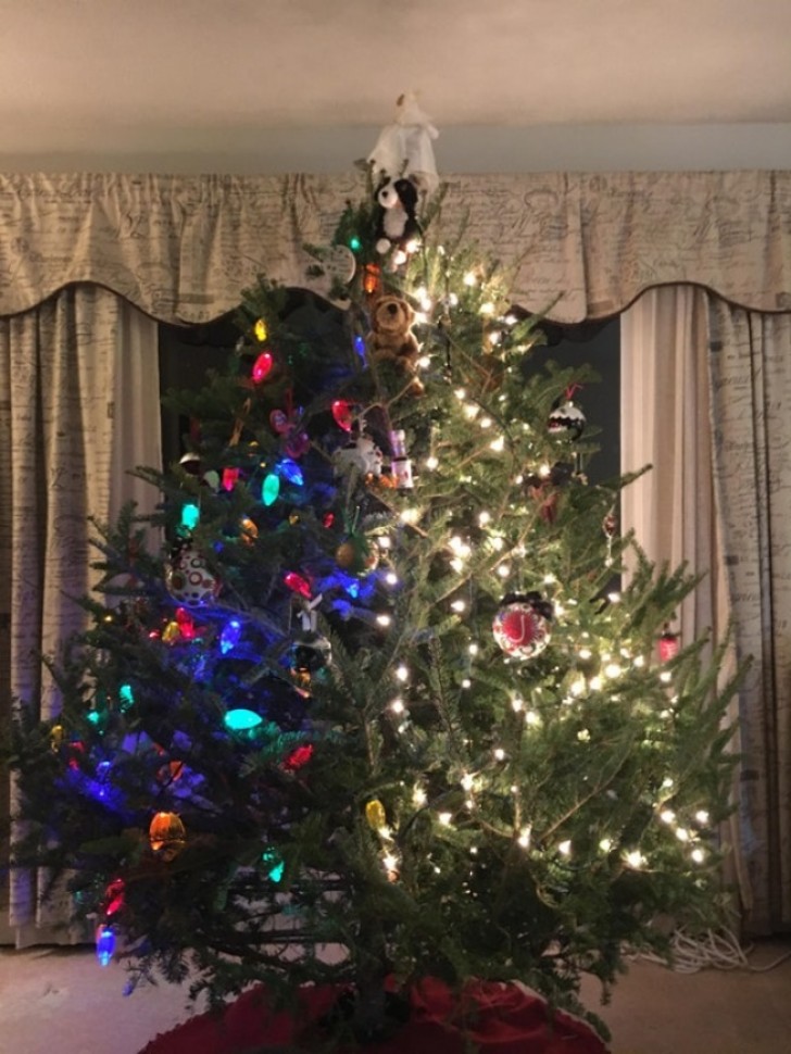6. Husband and wife never agree on how to decorate the Christmas tree. Here is the result.
