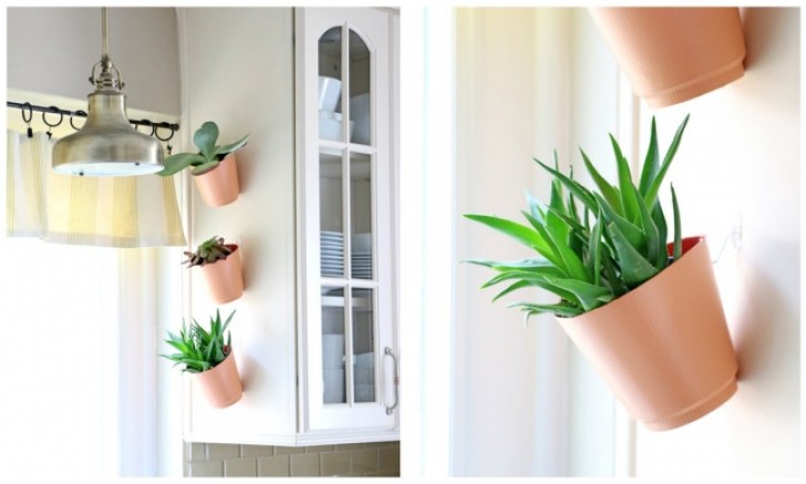 11. Here is another vertical mini-garden made using adhesive hooks ... beautiful and elegant!