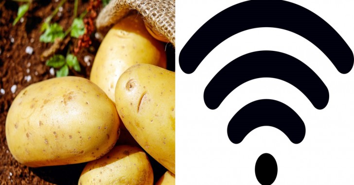 6. Les pommes de terre peuvent recevoir et répéter des signaux Wi-Fi en raison de leur composition chimique et de leur teneur en eau.