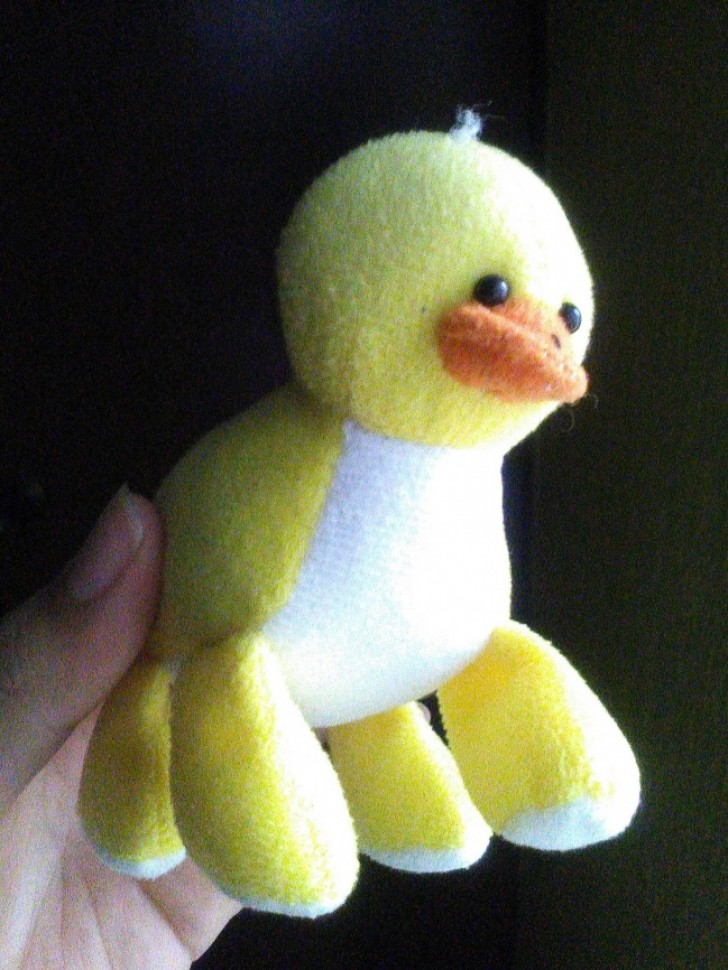 8. Um pato com quatro patas.