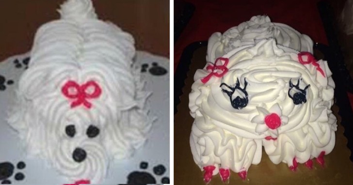 This time the cake is dedicated to their pet dog.