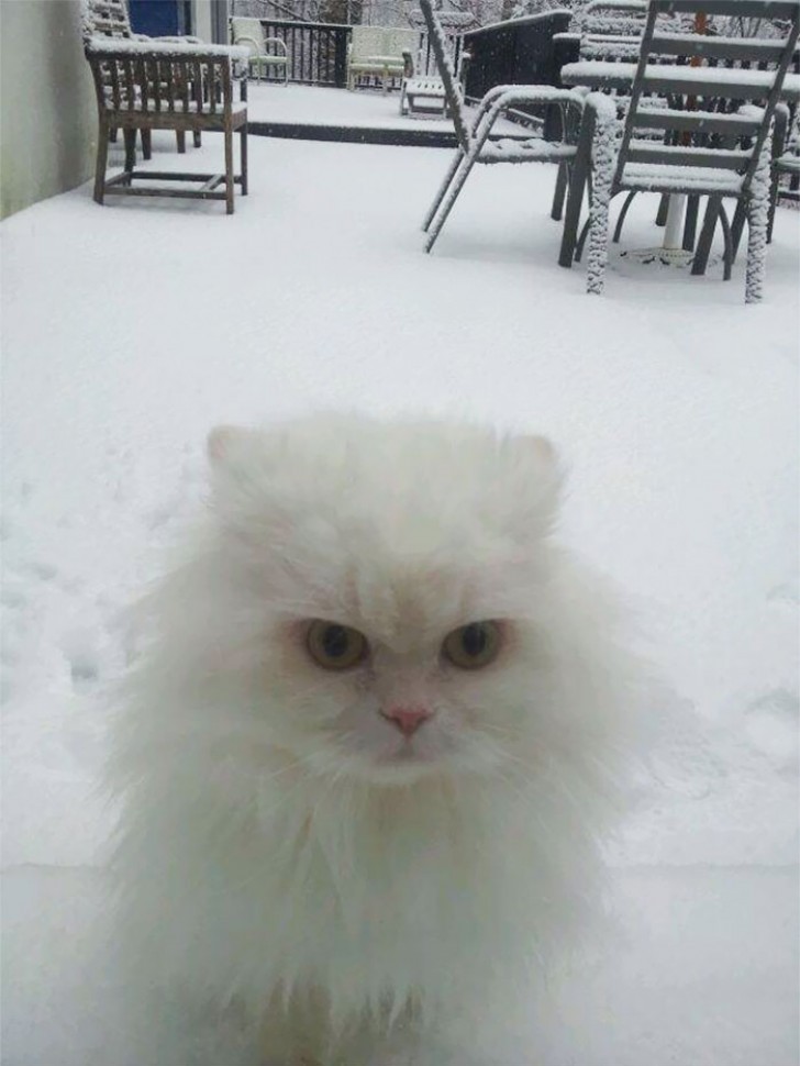 Oui, je suis plus blanche que neige... Bon, maintenant fais moi rentrer!