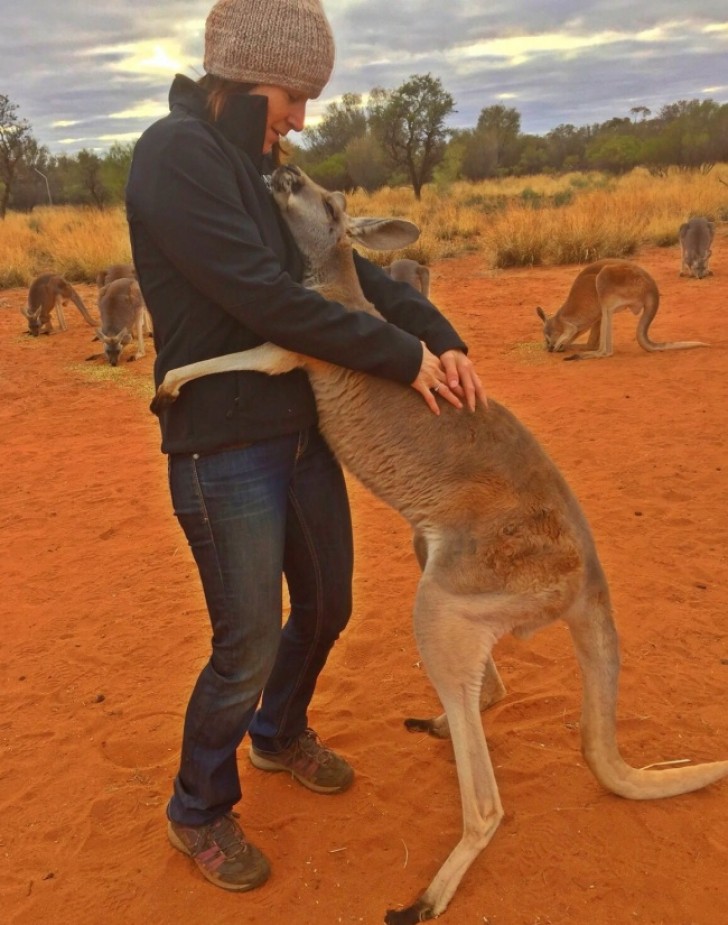 Es wurde gerettet, als es 5 Monate alt war. Seitdem umarmt dieses Känguruh seine Retter jeden Tag seit mittlerweile 10 Jahren!