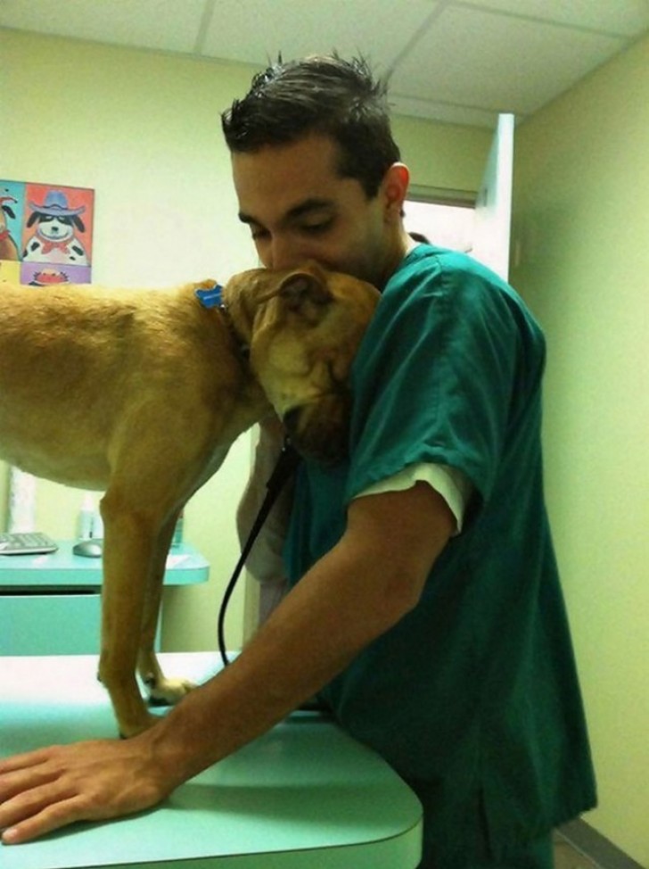 Ein ehrlicher Dank an den Tierarzt, der ihm das Leben gerettet hat!