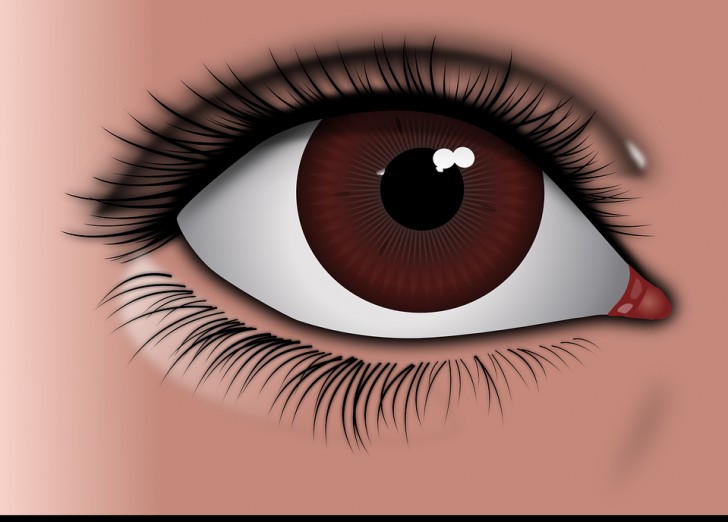 5. Les personnes aux yeux marrons apparaissent plus fiables, peut-être parce que leurs traits faciaux sont plus marqués.