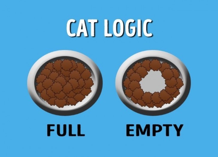 Vous verrez que pour un chat, un bol à moitié plein est en fait un bol VIDE.