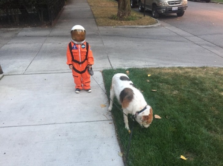 Niets bijzonders... Alleen een kind dat zijn hond uitlaat in een ruimtepak.