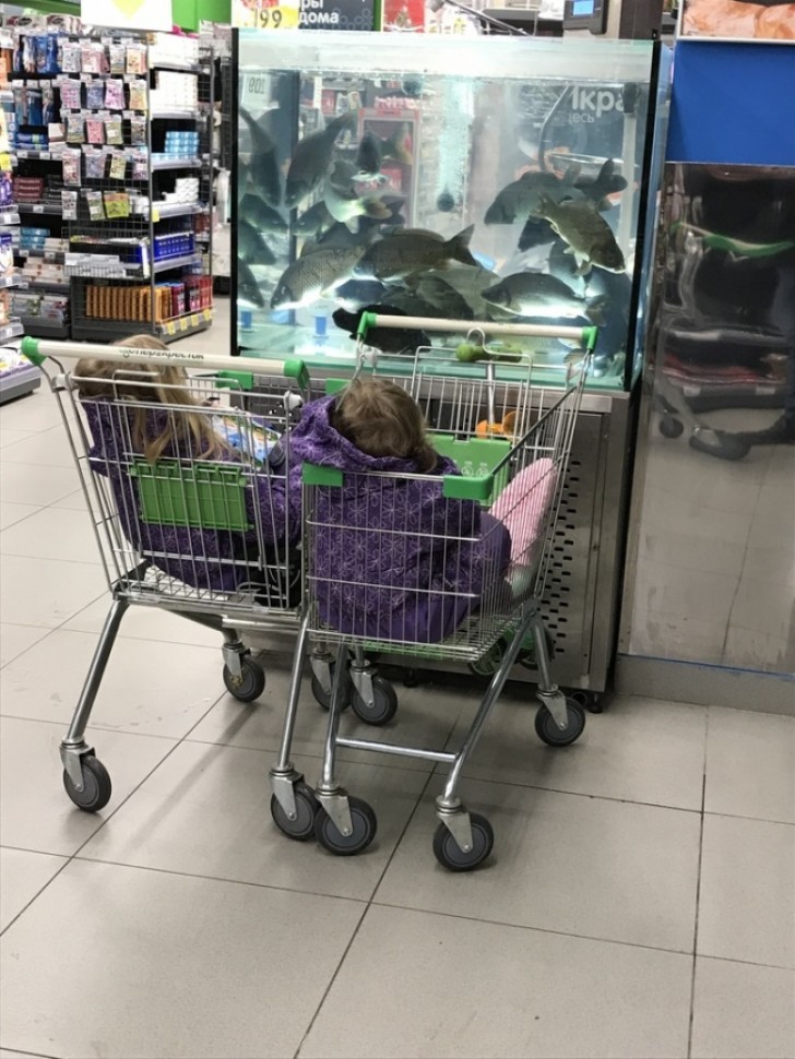 "Voila comment calmer les enfants quand on fait les courses."