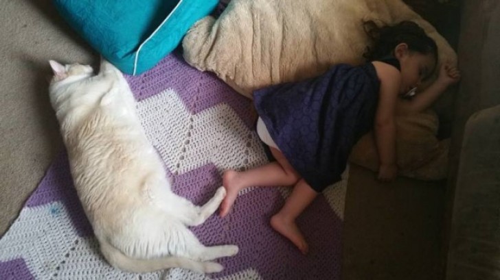 17. "Ma fille et notre chat doivent toujours être en contact quand ils dorment. Aujourd'hui, c'est le pied à pied"!
