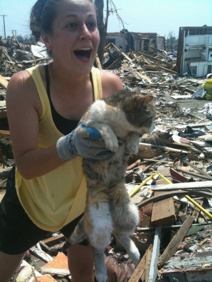 Wie würdet ihr reagieren, wenn ihr nach 16 Tagen die Katze lebendig finden würdet, die ihr nach einem Tornado vermisst habt?
