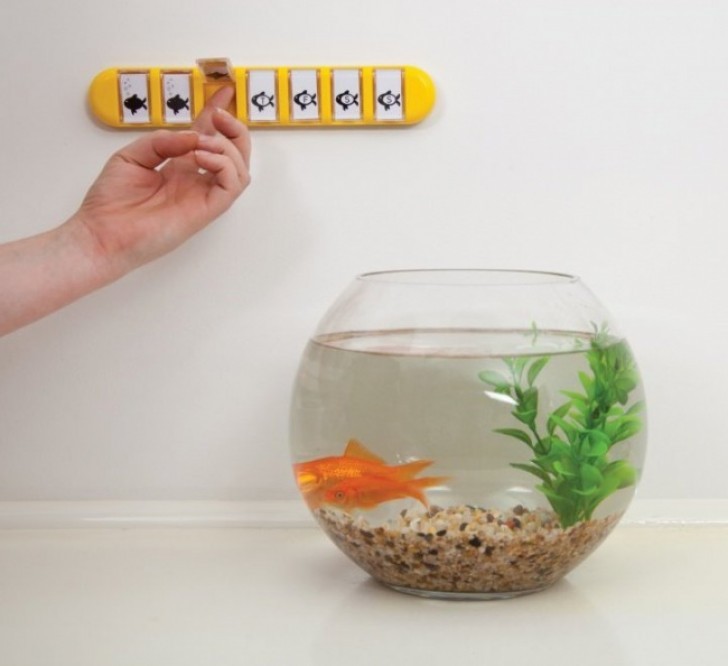 A calendar to remind the forgetful when was the last time they fed the fish.