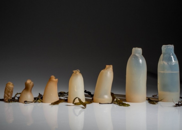Bottles that start to decompose when they are empty.