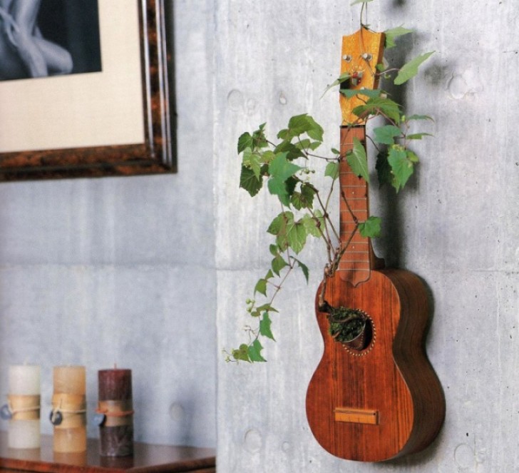 Se vi piacciono le piante rampicanti, una chitarra come vaso farà una figura splendida!