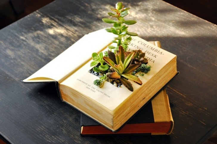 Un vaso ricavato da un vecchio libro: a molti potrà sembrare uno scempio ma se il volume era a marcire in libreria da tempo...