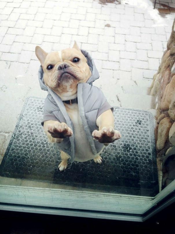"Yes, I have a coat, but it does not keep me warm enough ..."