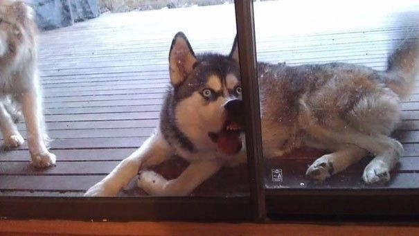 "I do not understand why you have locked me out ..."