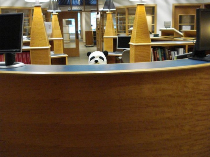 Comment ne pas entrer dans une bibliothèque qui vous accueille de cette façon?
