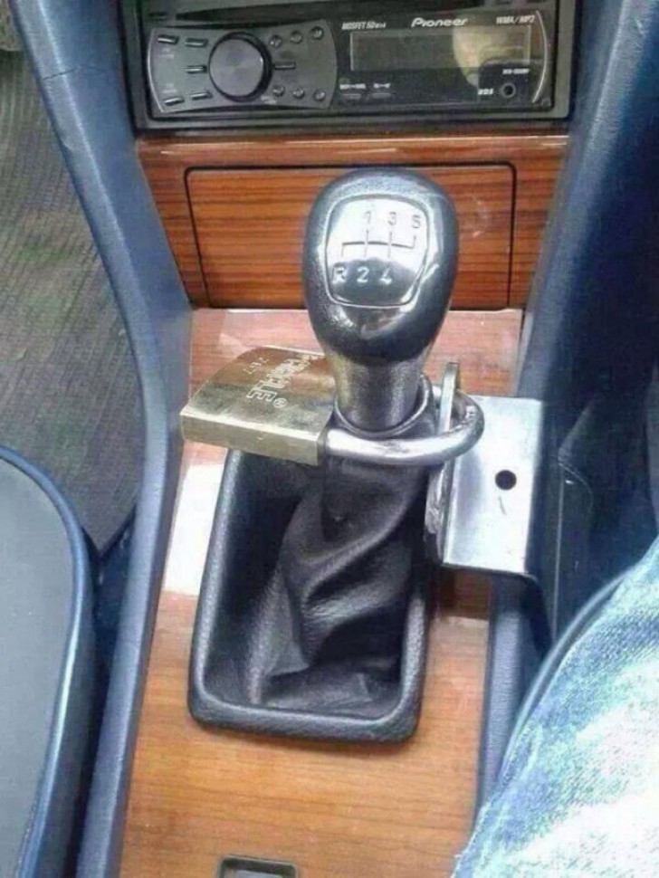 An anti-theft device that could work.