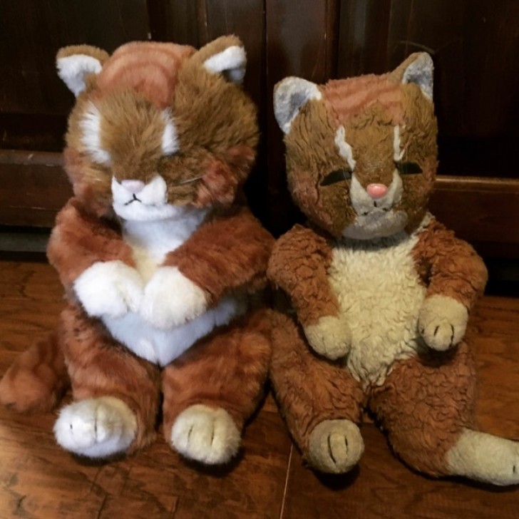 Two identical stuffed animals, but only one has been loved and cuddled for 20 years.