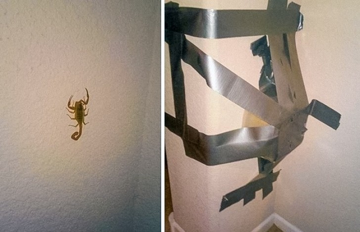 14. Vous trouvez un scorpion sur le mur. Solution: Piégez le sous un pot, fermez -le et courez pour demander de l'aide.....