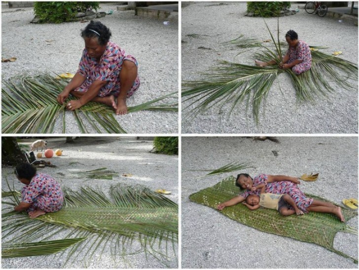 3. Transformer un palmier en tapis: c'est fait!